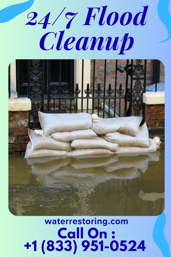 24/7 Flood Cleanup in Old Miakka, FL