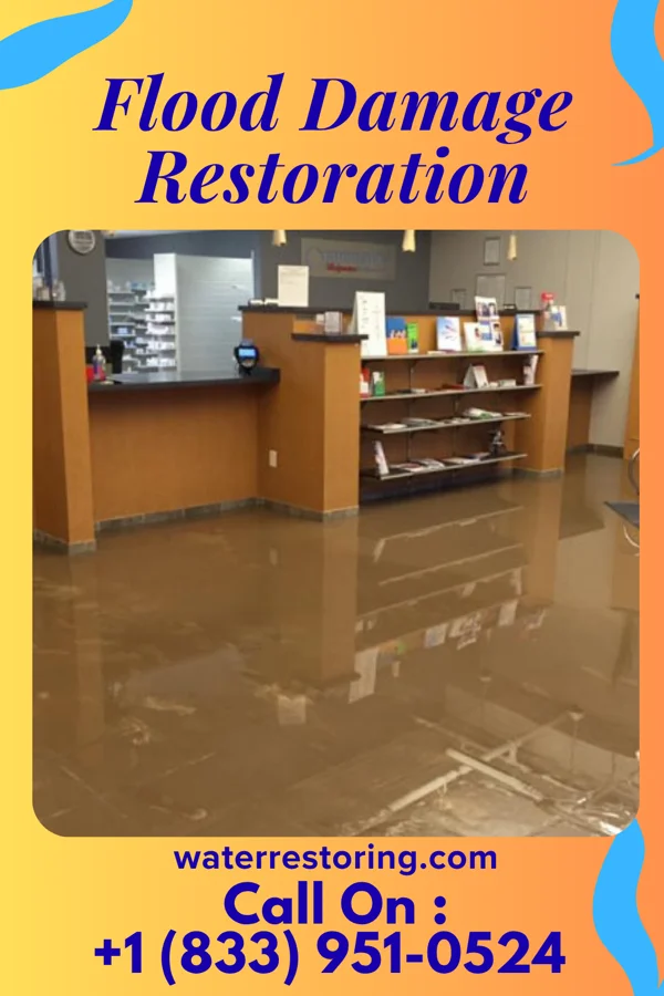 Flood Damage Restoration in Old Miakka, FL