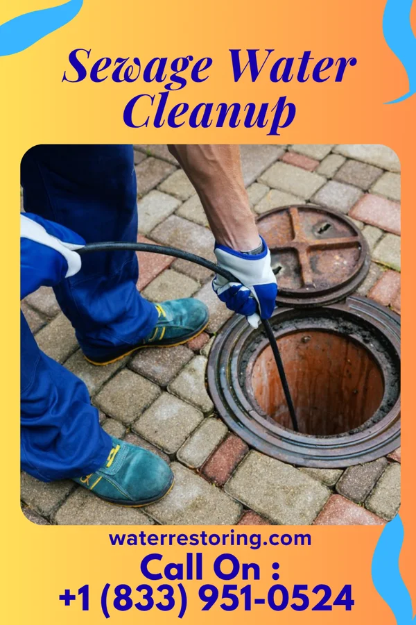 Sewage Water Cleanup in Old Miakka, FL